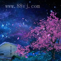 花草樹木，夢(mèng)幻叢林，森林全息投影素材，夢(mèng)幻浪漫素材
