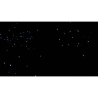 文旅景區(qū)夜游全息螢火蟲森林