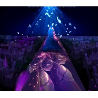 3d全息 全息婚禮 沉浸式投影 幻影成像原理